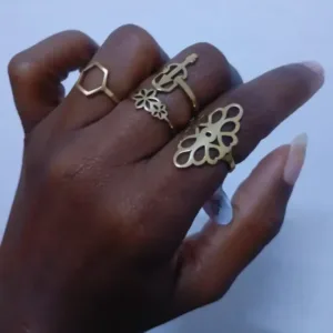 Bagues en acier inoxydable