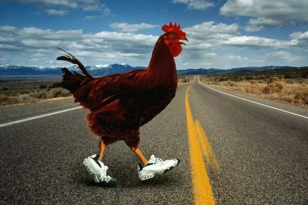 Best chicken road in Spain